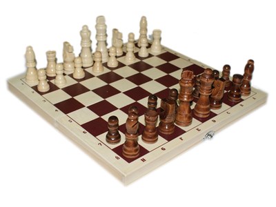 Шахматы: G300-3 - фото 1047845358