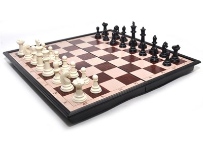 Игра настольная магнитная "2 в 1". Размер доски 27 см х 27 см. 3135 - фото 1060284374
