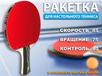 Ракетка пин понг 3 звезды + чехол :(3005):