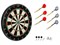 Дартс Champion Tournament: BL1818В - фото 1060287596