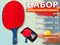 Набор для игры в настольный теннис 2 ракетки, 3 шарика: SA10 - фото 1060290648