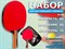 Набор для игры в настольный теннис 2 ракетки, 3 шарика: SE20 - фото 1060290653